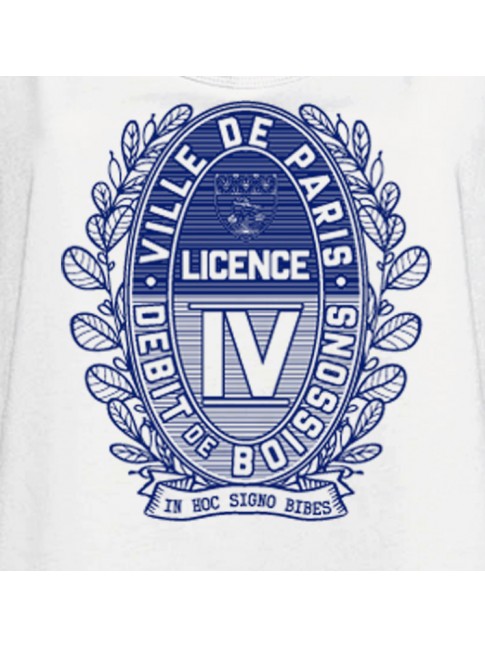 LICENCE IV