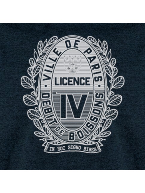 LICENCE IV