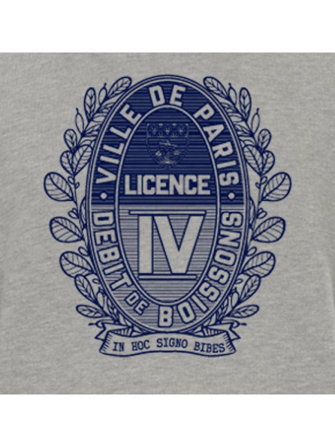 LICENCE IV